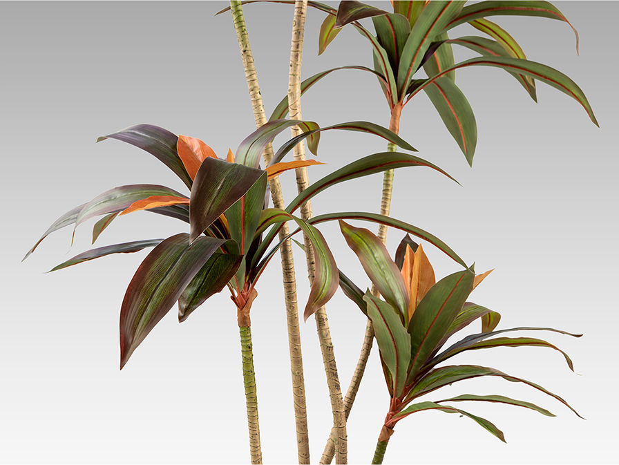 DRACENA ROJA - ARTIFICIAL PLANT H220