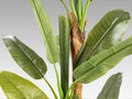 PLATANERA - ARTIFICIAL PLANT H180
