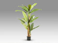 PLATANERA - ARTIFICIAL PLANT H180