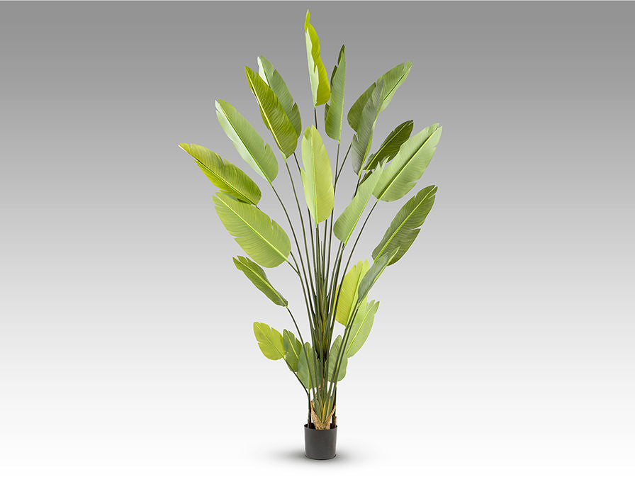 AVE PARAISO - ARTIFICIAL PLANT H250