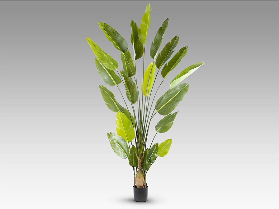 AVE PARAISO - ARTIFICIAL PLANT H250