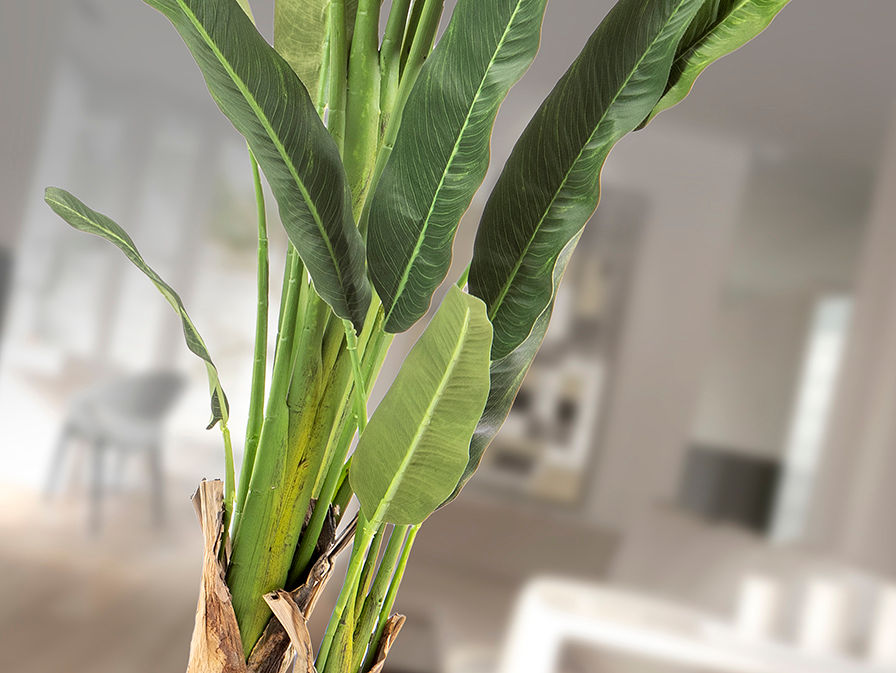 Palma Viajero - Artificial Plant H240