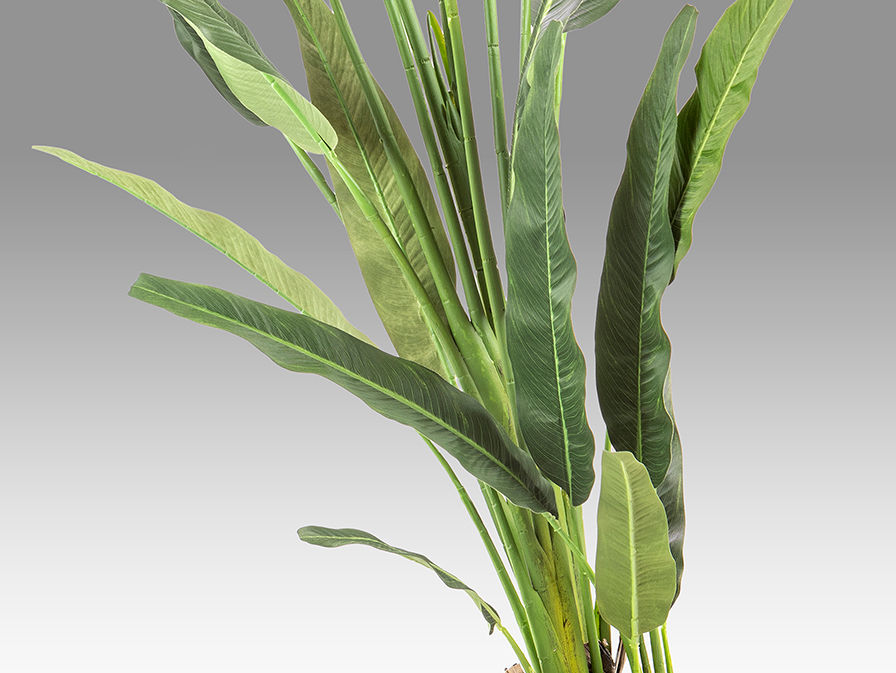 PALMA VIAJERO - ARTIFICIAL PLANT H240