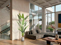 Palma Viajero - Artificial Plant H240