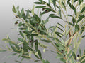 OLIVO - ARTIFICIAL PLANT H180