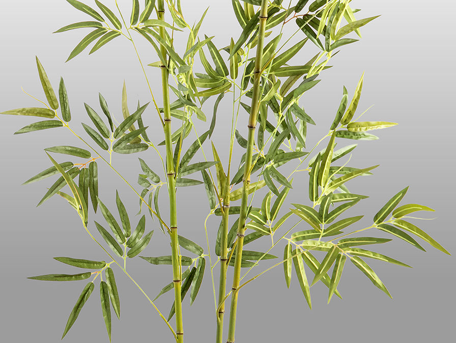 BAMBU - ARTIFICIAL PLANT H170