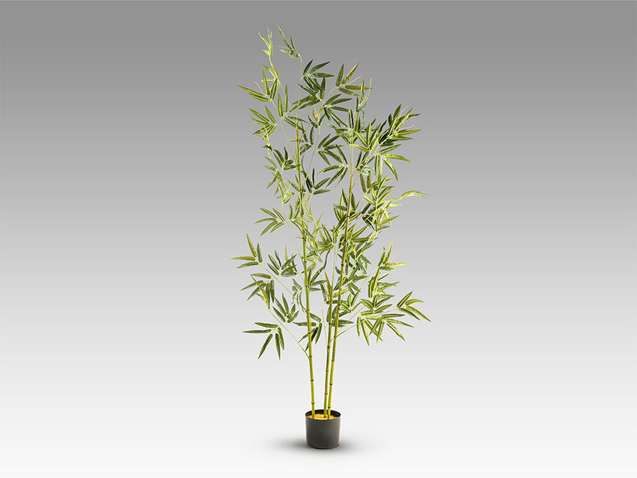 BAMBU - ARTIFICIAL PLANT H170
