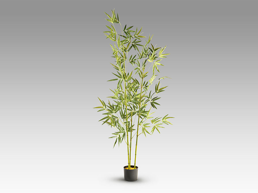 BAMBU - ARTIFICIAL PLANT H170