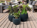 YUCA- SET 3 PLANTERS-BLACK