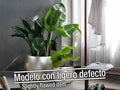 Schuller Flowerpots Silver 504195T SILVER- SET 2 PLANTERS - SILVER