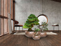 CANELA- SET 3 PLANTERS- BRONZE