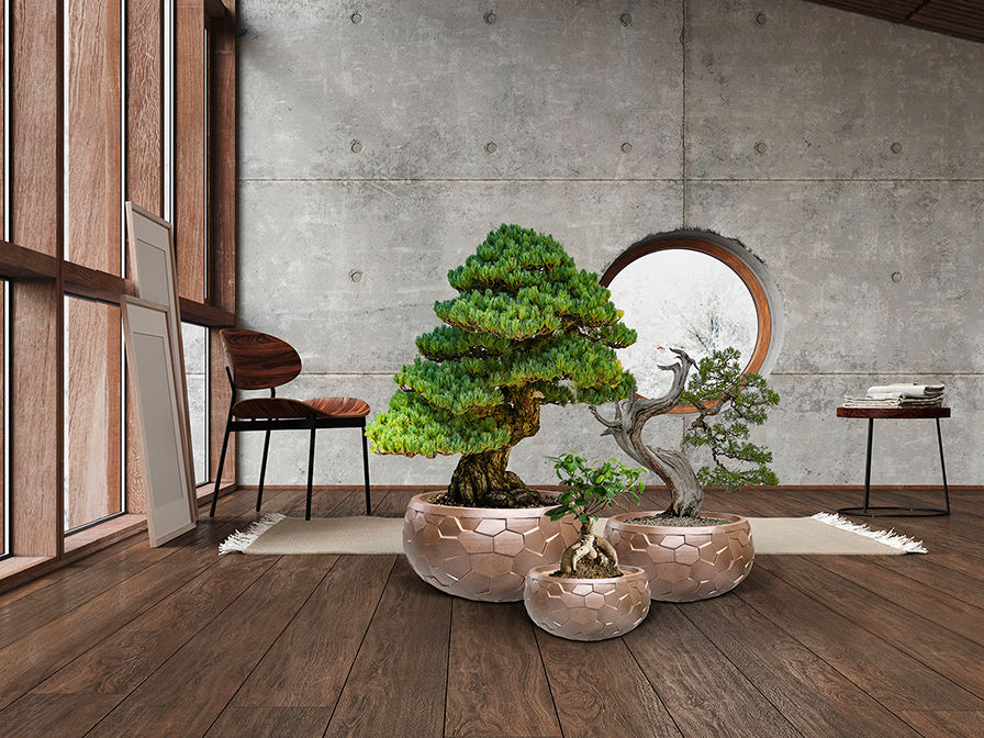 CANELA- SET 3 PLANTERS- BRONZE