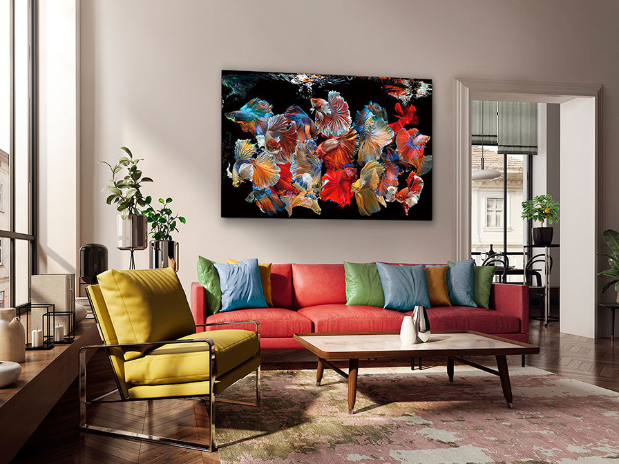 SCHULLER - Decoration Prints and Photos Peces Siam 755016